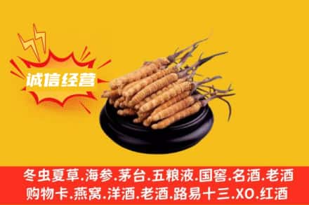 芜湖市鸠江回收冬虫夏草